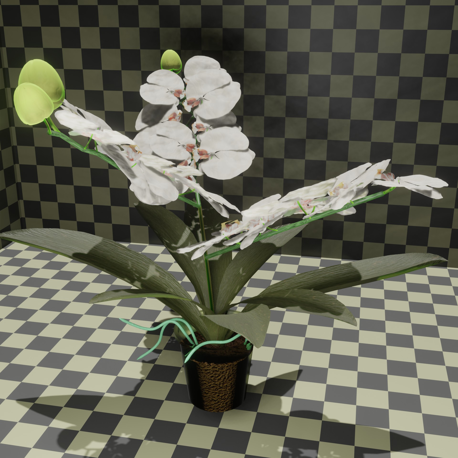 White orchid preview image 1